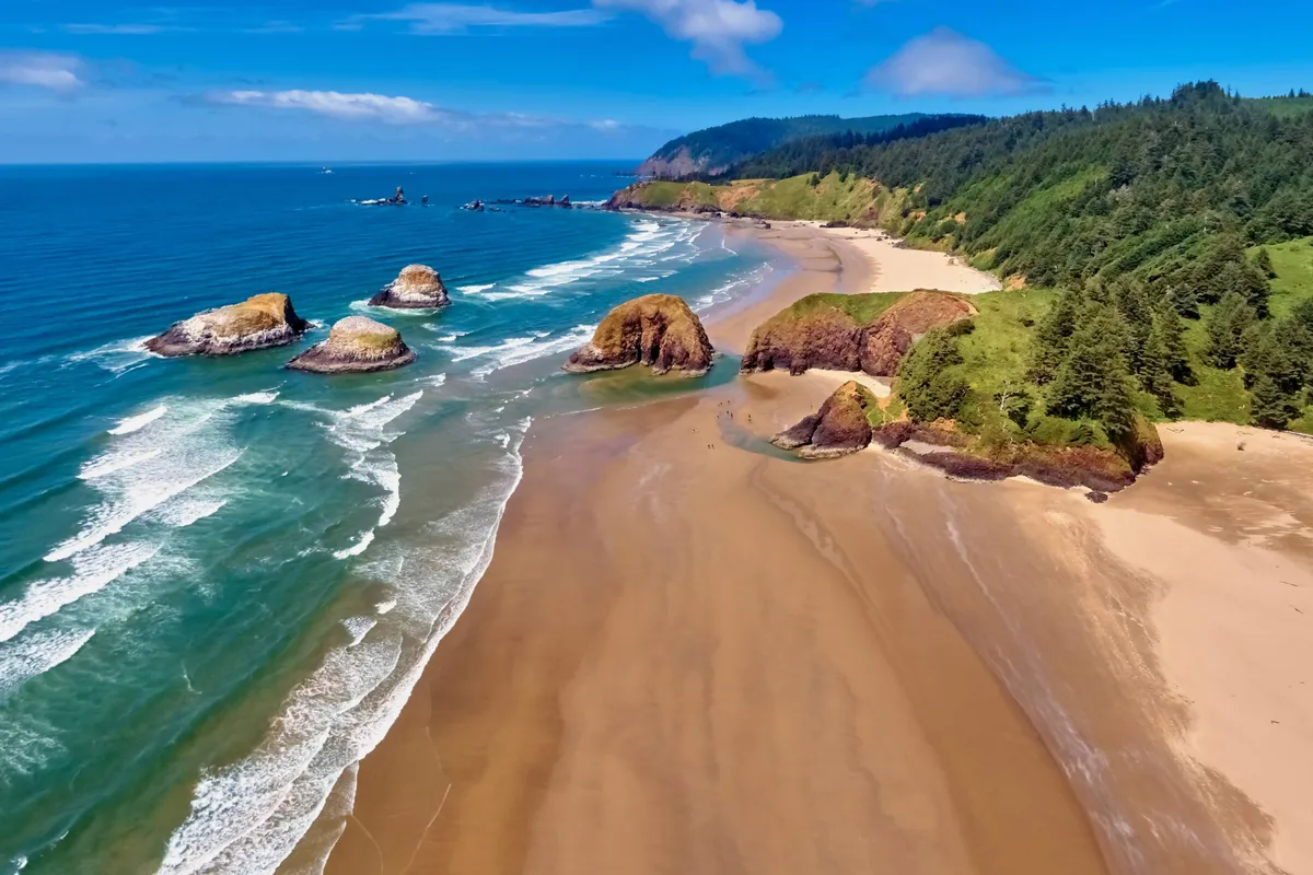 A sweeping view of Rockaway Beach's signature sandy shores, dramatic rock formations, and lush green hills. The scene captures the natural beauty that defines the area and hints at the variety of experiences available—from beachcombing to surfing, just a stroll away.